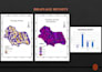 make high quality maps and gis analysis using arcgis